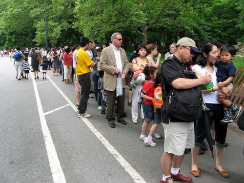 Japan Day line