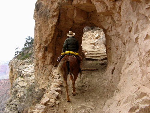 Mule Trail
