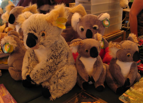 Stuffed koalas